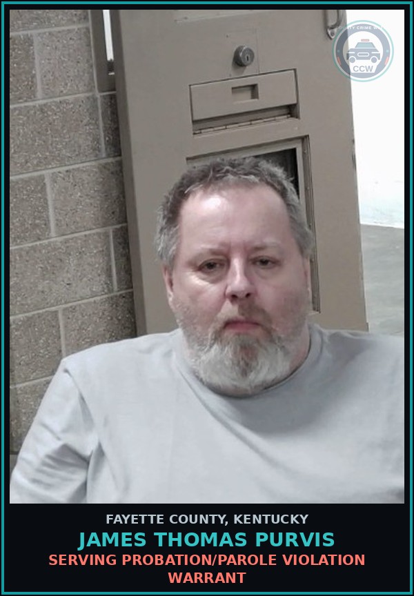 Booking mugshot of JAMES THOMAS PURVIS in Fayette County