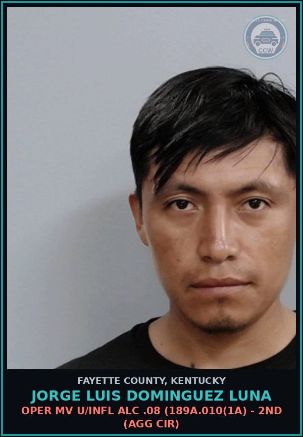 Booking mugshot of JORGE LUIS DOMINGUEZ LUNA in Fayette County