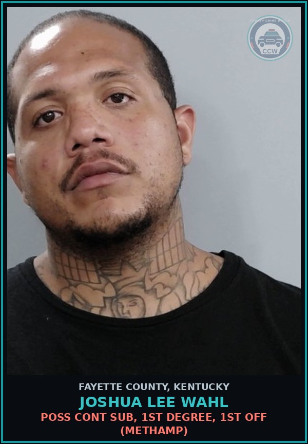 Booking mugshot of JOSHUA LEE WAHL in Fayette County