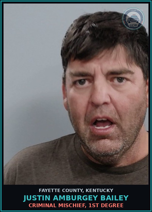 Booking mugshot of JUSTIN AMBURGEY BAILEY in Fayette County