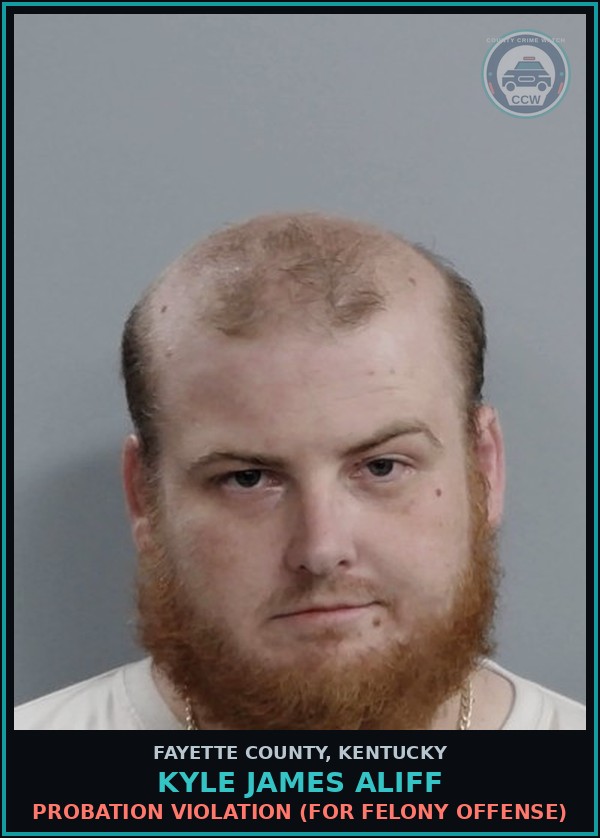 Booking mugshot of KYLE JAMES ALIFF in Fayette County