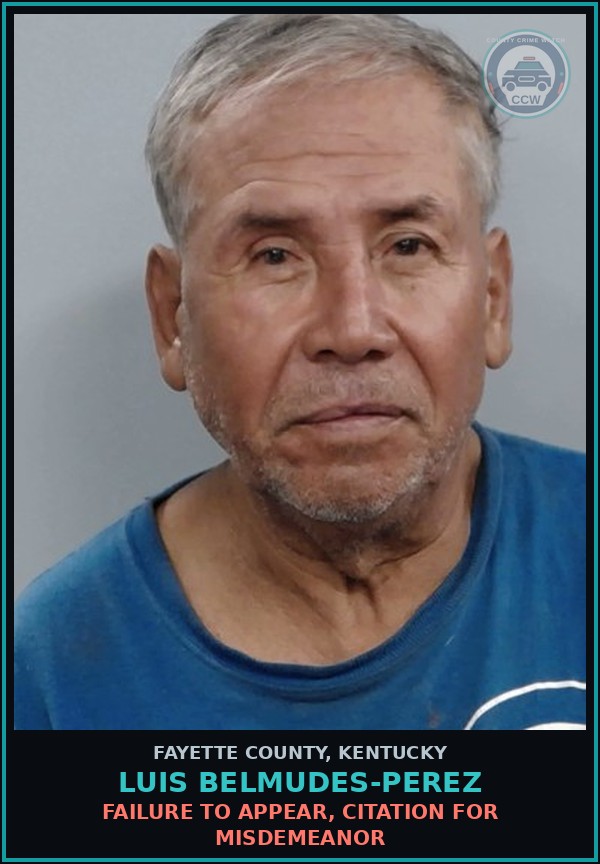 Booking mugshot of LUIS BELMUDES-PEREZ in Fayette County
