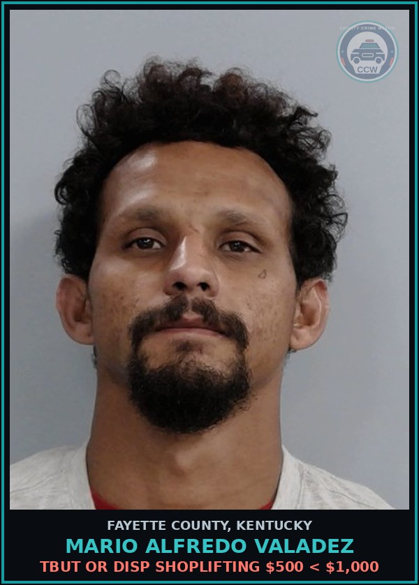 Booking mugshot of MARIO ALFREDO VALADEZ in Fayette County