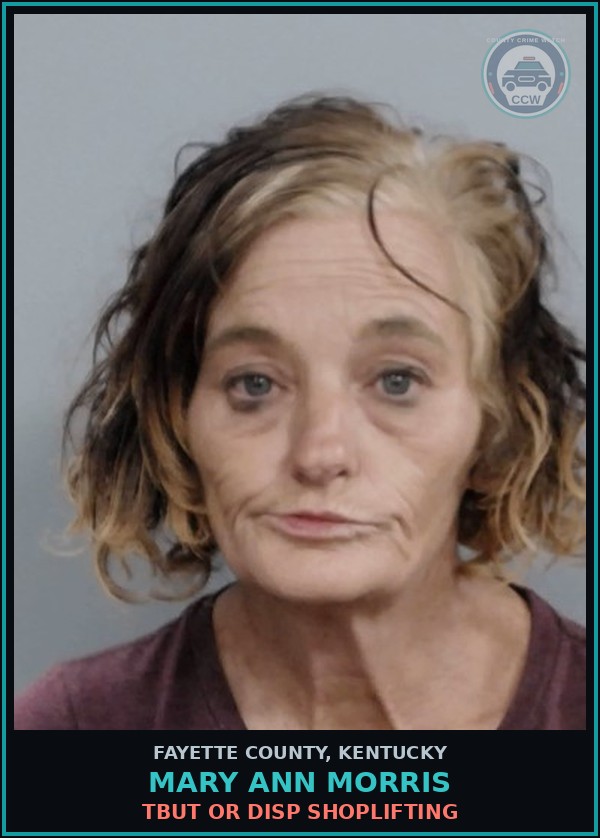 Booking mugshot of MARY ANN MORRIS in Fayette County