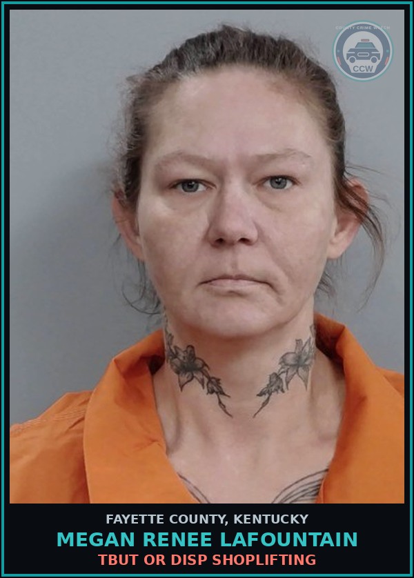 Booking mugshot of MEGAN RENEE LAFOUNTAIN in Fayette County