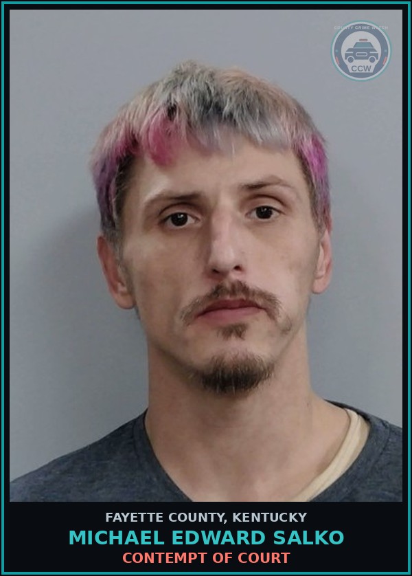 Booking mugshot of MICHAEL EDWARD SALKO in Fayette County