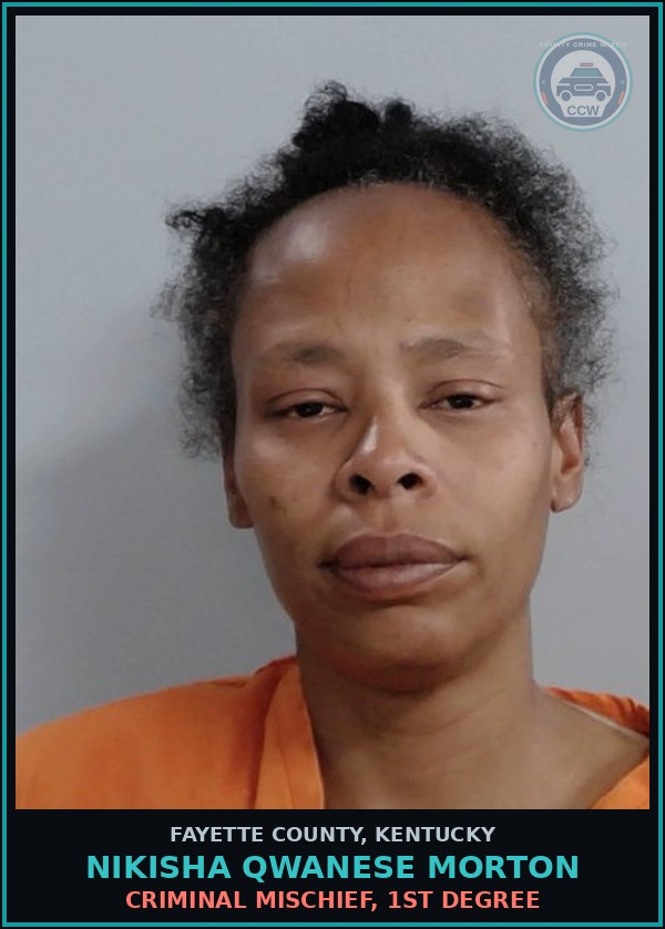 Booking mugshot of NIKISHA QWANESE MORTON in Fayette County
