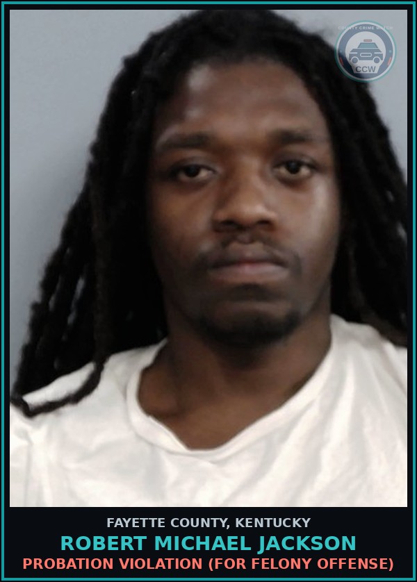 Booking mugshot of ROBERT MICHAEL JACKSON in Fayette County