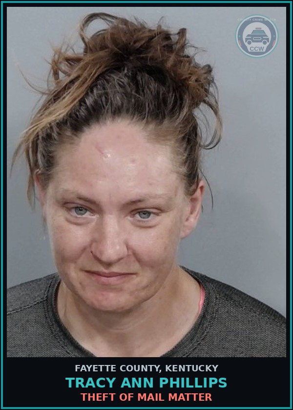 Booking mugshot of TRACY ANN PHILLIPS in Fayette County