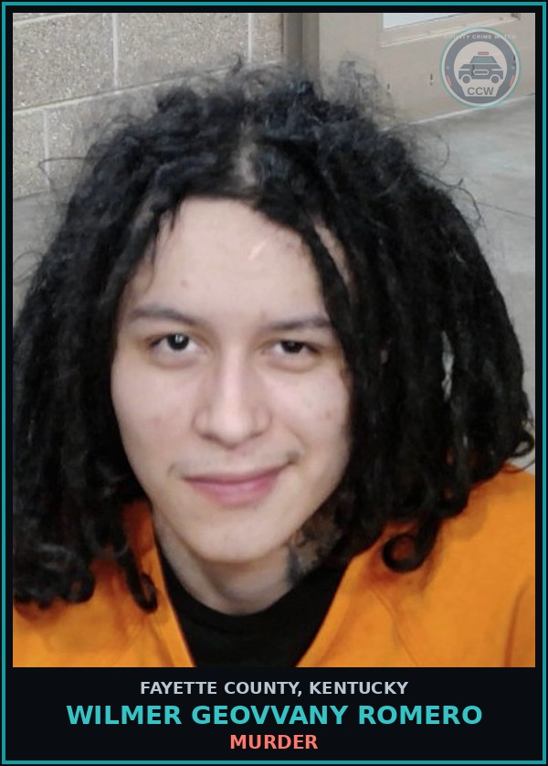 Booking mugshot of WILMER GEOVVANY ROMERO in Fayette County
