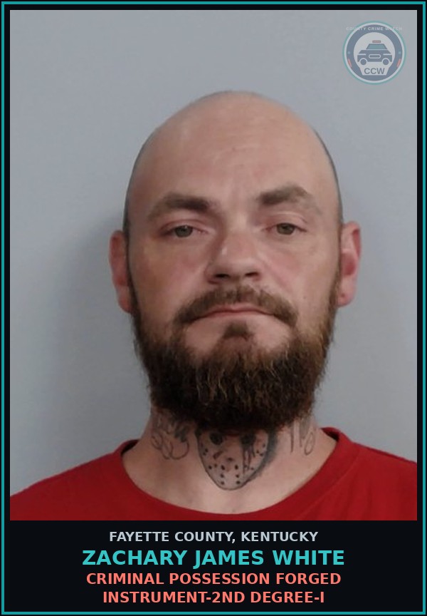 Booking mugshot of ZACHARY JAMES WHITE in Fayette County