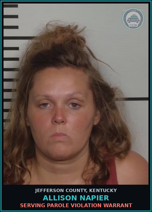 Booking mugshot of Allison Napier in Jefferson County