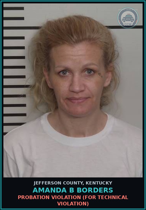 Booking mugshot of Amanda B Borders in Jefferson County
