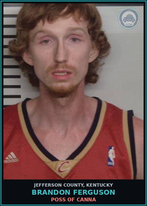 Booking mugshot of Brandon Ferguson in Jefferson County