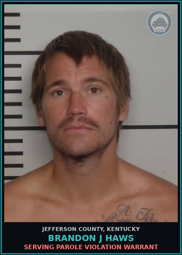 Booking mugshot of Brandon J Haws in Jefferson County