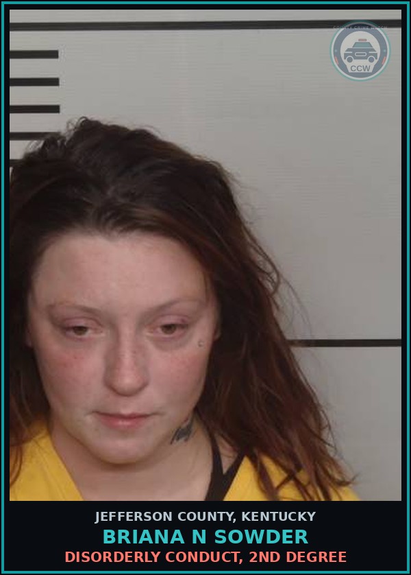 Booking mugshot of Briana N Sowder in Jefferson County