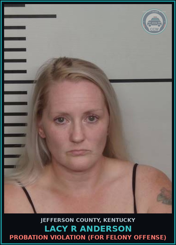 Booking mugshot of Lacy R Anderson in Jefferson County