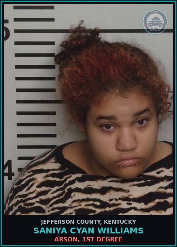 Booking mugshot of Saniya Cyan Williams in Jefferson County