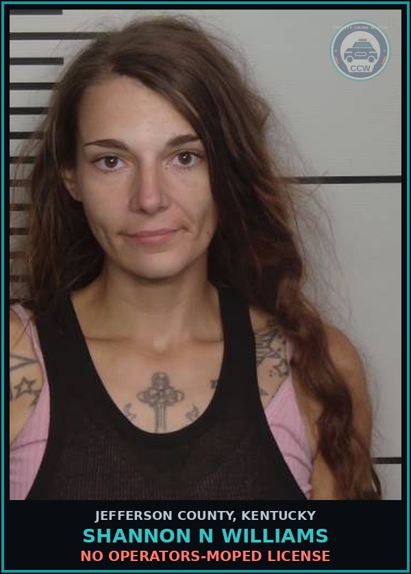 Booking mugshot of Shannon N Williams in Jefferson County