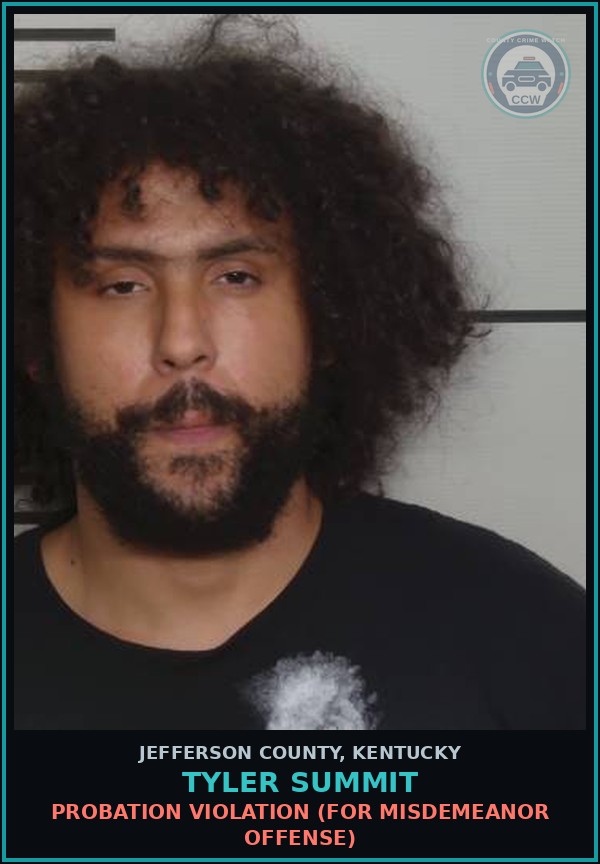 Booking mugshot of Tyler Summit in Jefferson County