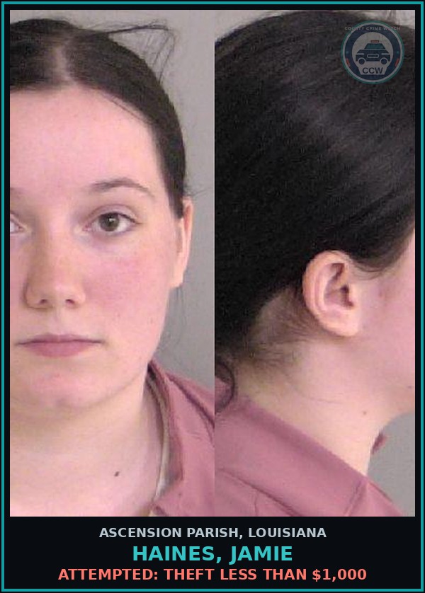 Booking mugshot of Haines, Jamie in Ascension Parish