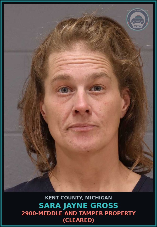 Booking mugshot of Sara Jayne Gross in Kent County