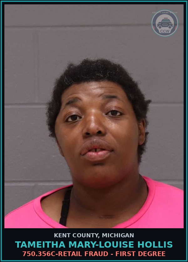 Booking mugshot of Tameitha Mary-Louise Hollis in Kent County