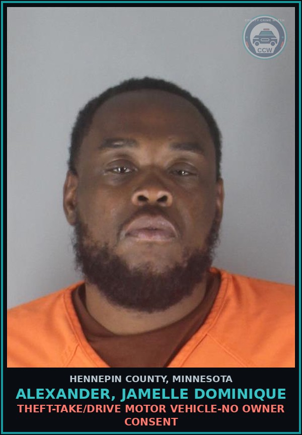 Booking mugshot of ALEXANDER, JAMELLE DOMINIQUE in Hennepin County