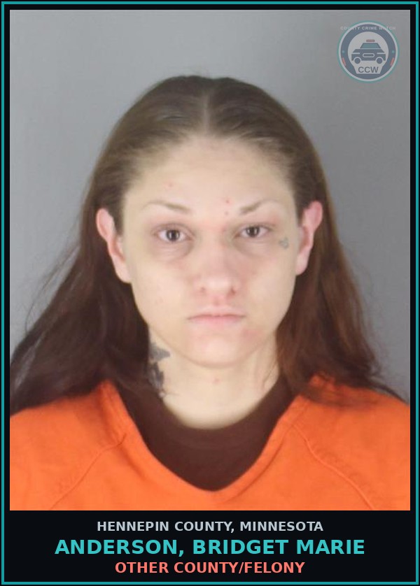 Booking mugshot of ANDERSON, BRIDGET MARIE in Hennepin County
