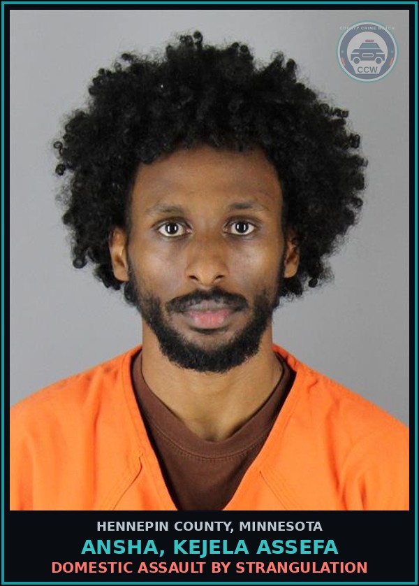 Booking mugshot of ANSHA, KEJELA ASSEFA in Hennepin County