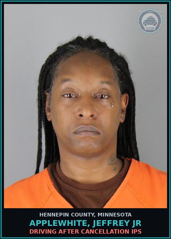 Booking mugshot of APPLEWHITE, JEFFREY JR in Hennepin County