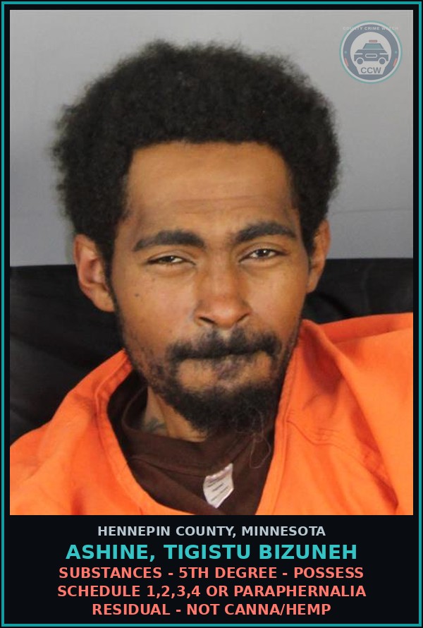 Booking mugshot of ASHINE, TIGISTU BIZUNEH in Hennepin County