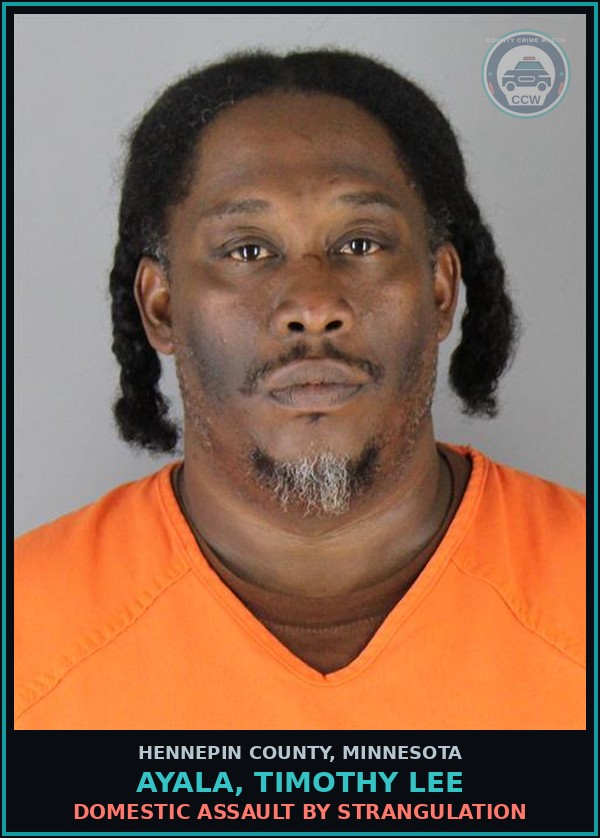 Booking mugshot of AYALA, TIMOTHY LEE in Hennepin County