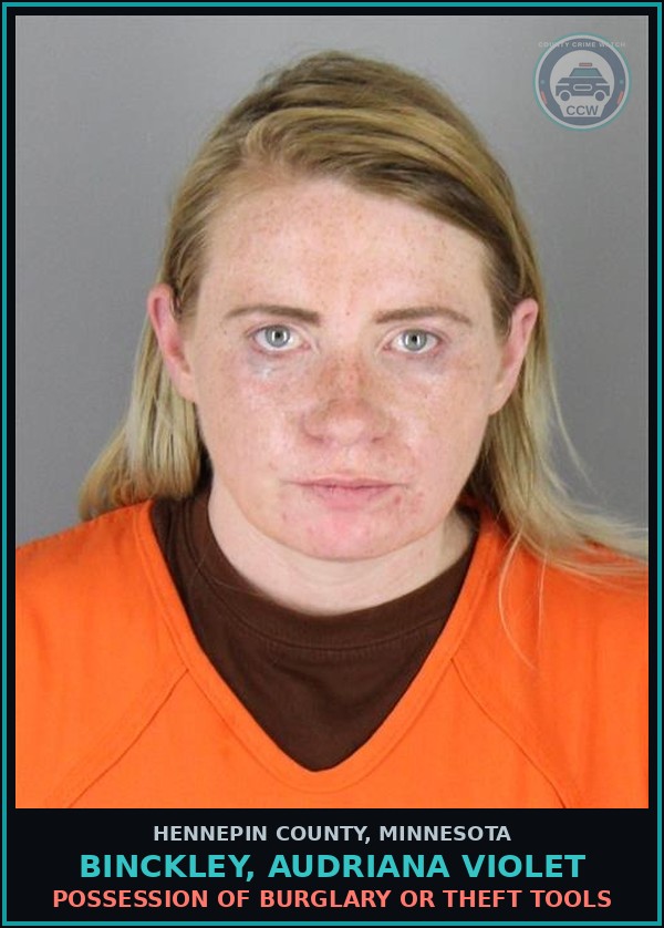 Booking mugshot of BINCKLEY, AUDRIANA VIOLET in Hennepin County