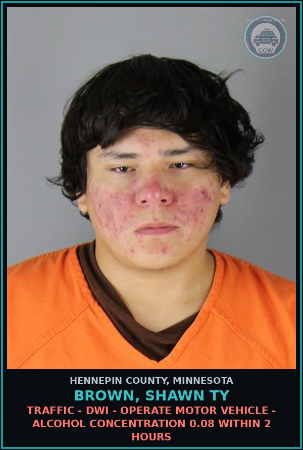 Booking mugshot of BROWN, SHAWN TY in Hennepin County