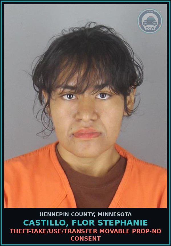 Booking mugshot of CASTILLO, FLOR STEPHANIE in Hennepin County