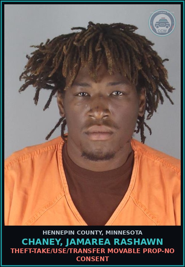 Booking mugshot of CHANEY, JAMAREA RASHAWN in Hennepin County