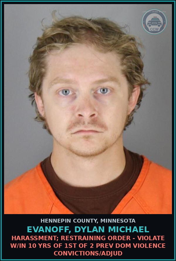 Booking mugshot of EVANOFF, DYLAN MICHAEL in Hennepin County