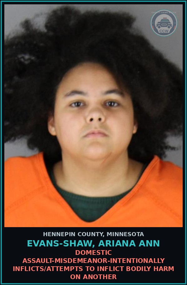 Booking mugshot of EVANS-SHAW, ARIANA ANN in Hennepin County