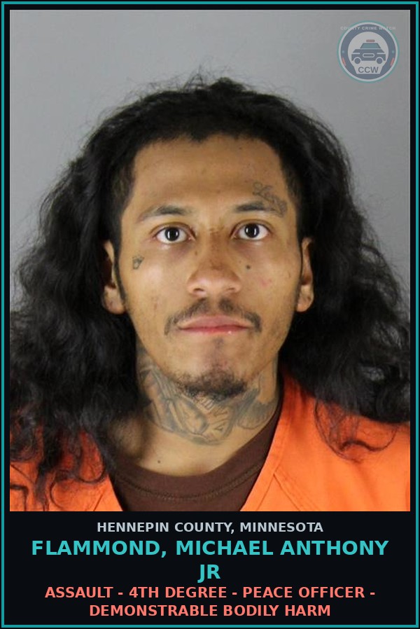 Booking mugshot of FLAMMOND, MICHAEL ANTHONY JR in Hennepin County