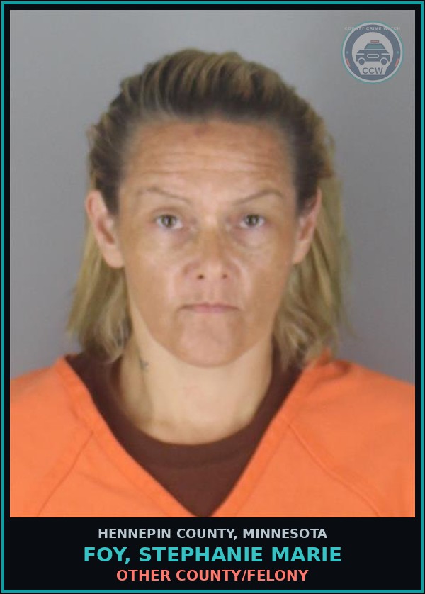 Booking mugshot of FOY, STEPHANIE MARIE in Hennepin County