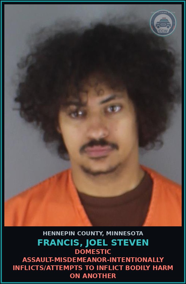 Booking mugshot of FRANCIS, JOEL STEVEN in Hennepin County