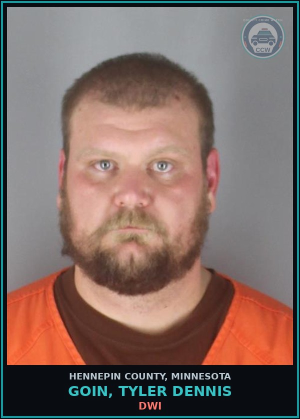 Booking mugshot of GOIN, TYLER DENNIS in Hennepin County