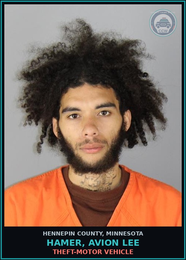 Booking mugshot of HAMER, AVION LEE in Hennepin County