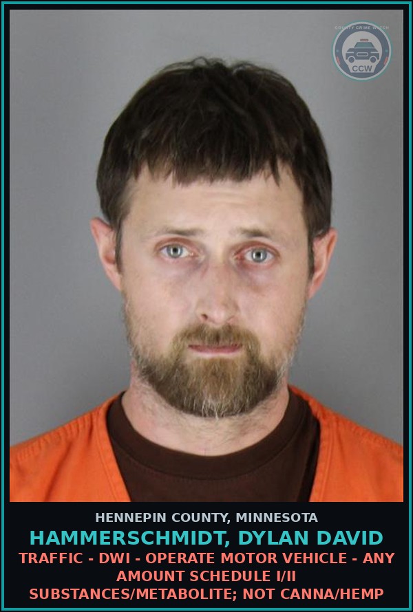 Booking mugshot of HAMMERSCHMIDT, DYLAN DAVID in Hennepin County