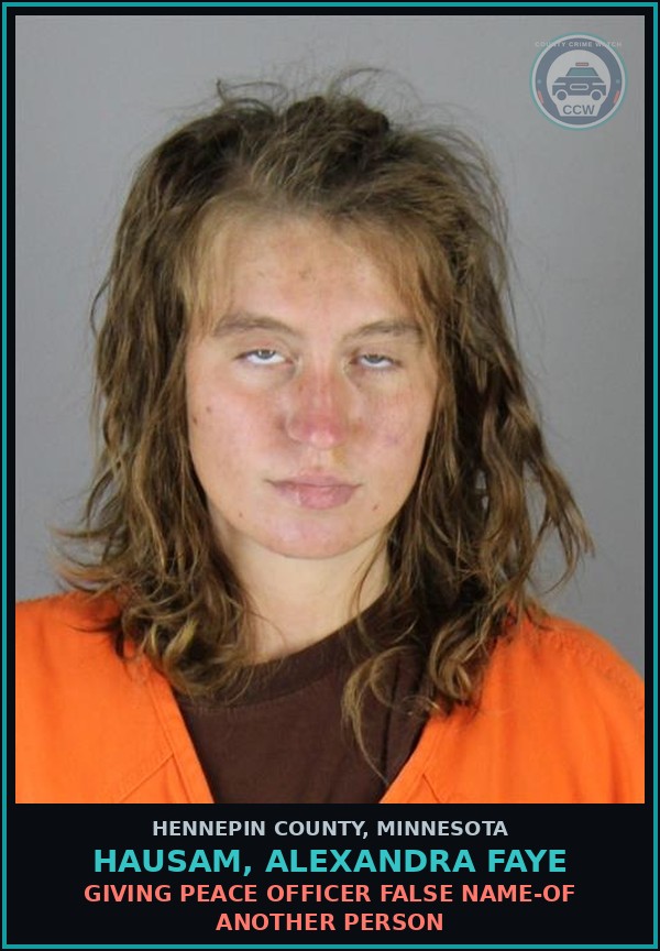 Booking mugshot of HAUSAM, ALEXANDRA FAYE in Hennepin County