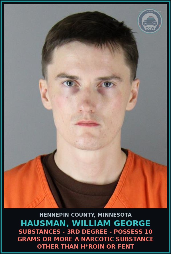 Booking mugshot of HAUSMAN, WILLIAM GEORGE in Hennepin County