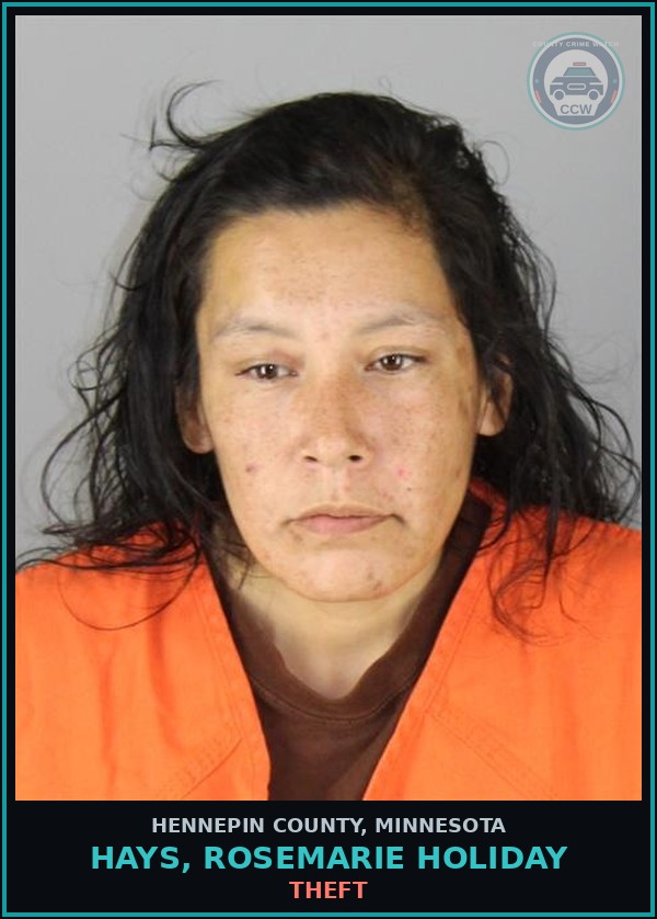 Booking mugshot of HAYS, ROSEMARIE HOLIDAY in Hennepin County