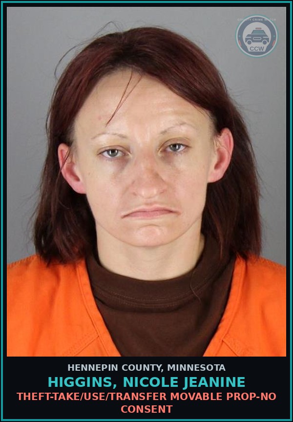 Booking mugshot of HIGGINS, NICOLE JEANINE in Hennepin County