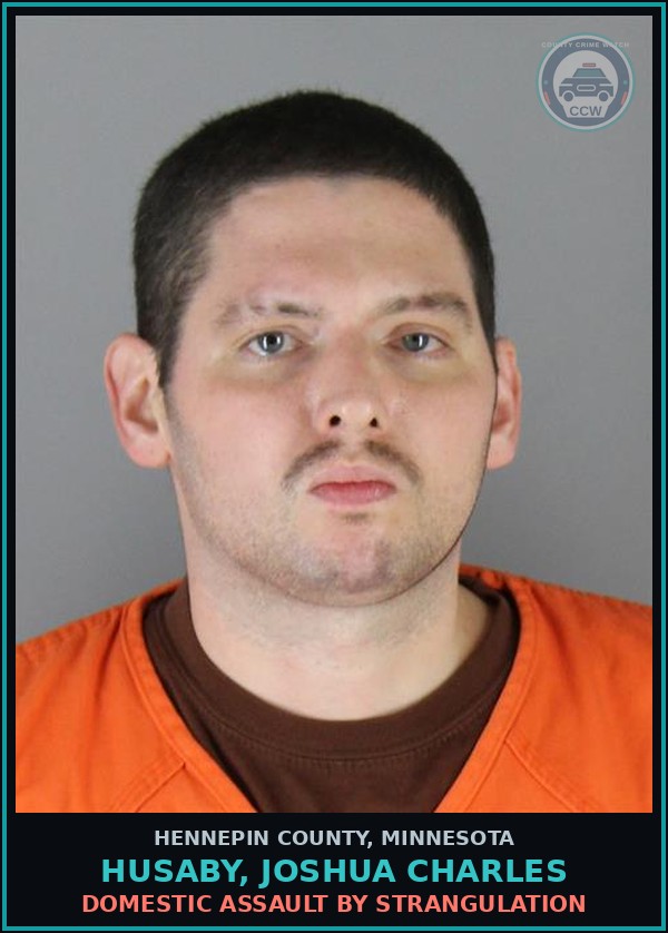 Booking mugshot of HUSABY, JOSHUA CHARLES in Hennepin County